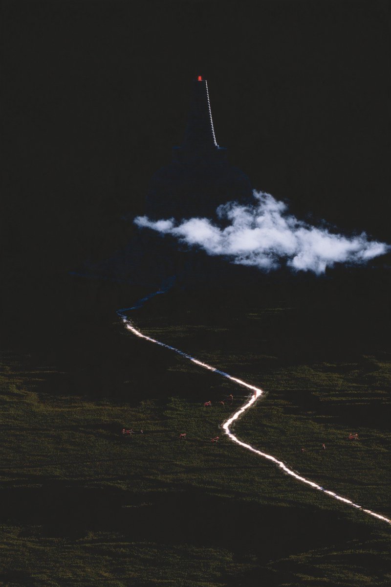 eastsignal_id's tweet photo. wild and free https://t.co/aZdyiaGEcU