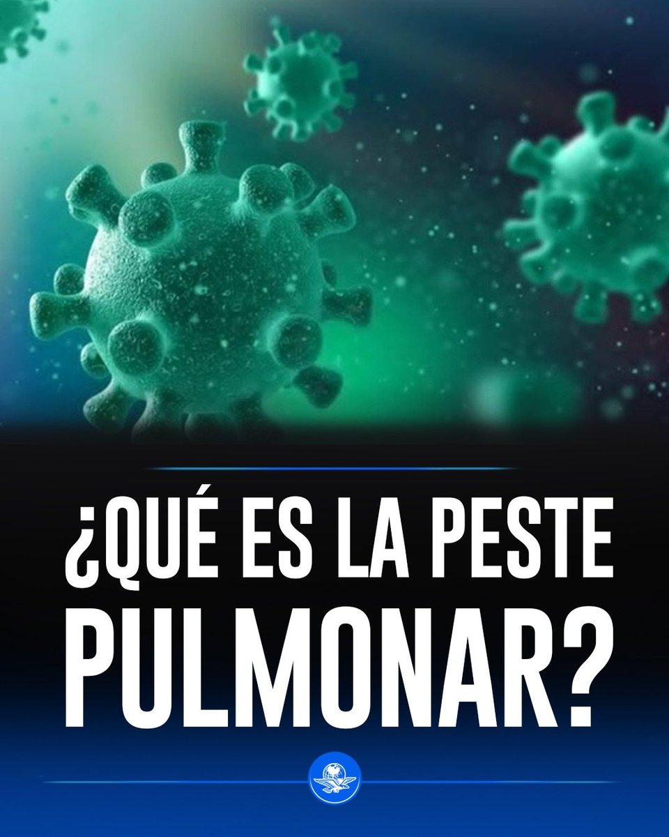 El_Universal_Mx's tweet photo. 🏥  Varios hospitales en Siberia 🇷🇺  se encuentran en cuarentena ante la sospecha de casos de peste pulmonar. 🫁 https://t.co/igpP2KGoB5