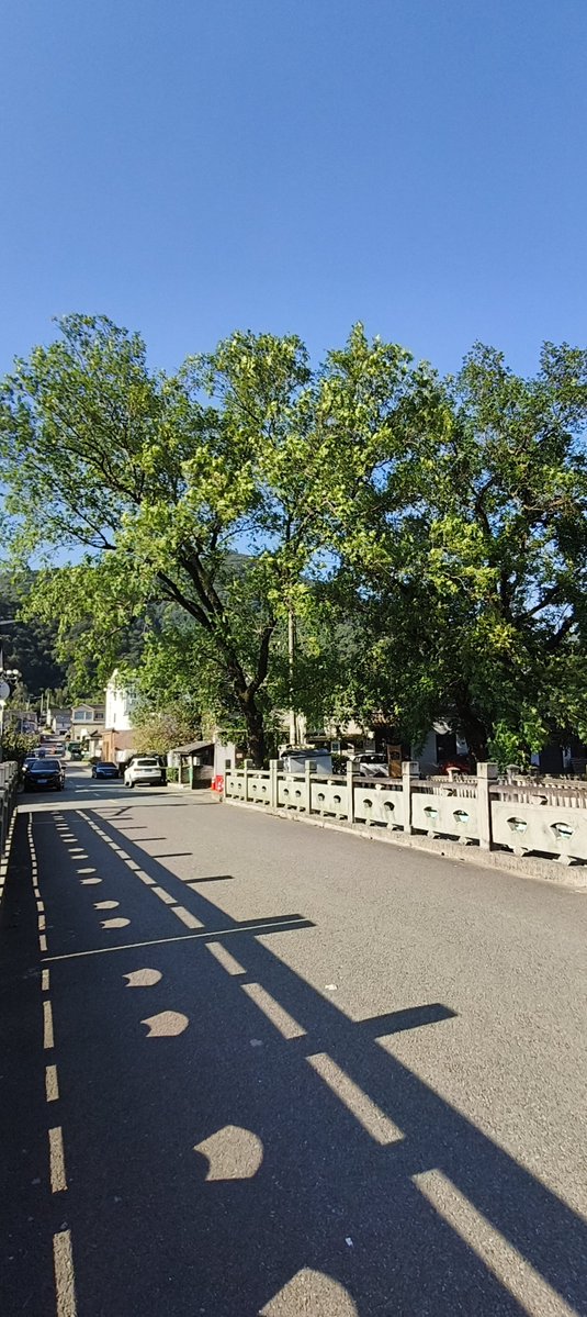MAPPFEP's tweet photo. 又路过一个小山村，天气好拍什么都漂亮 https://t.co/7pDI93QSUo
