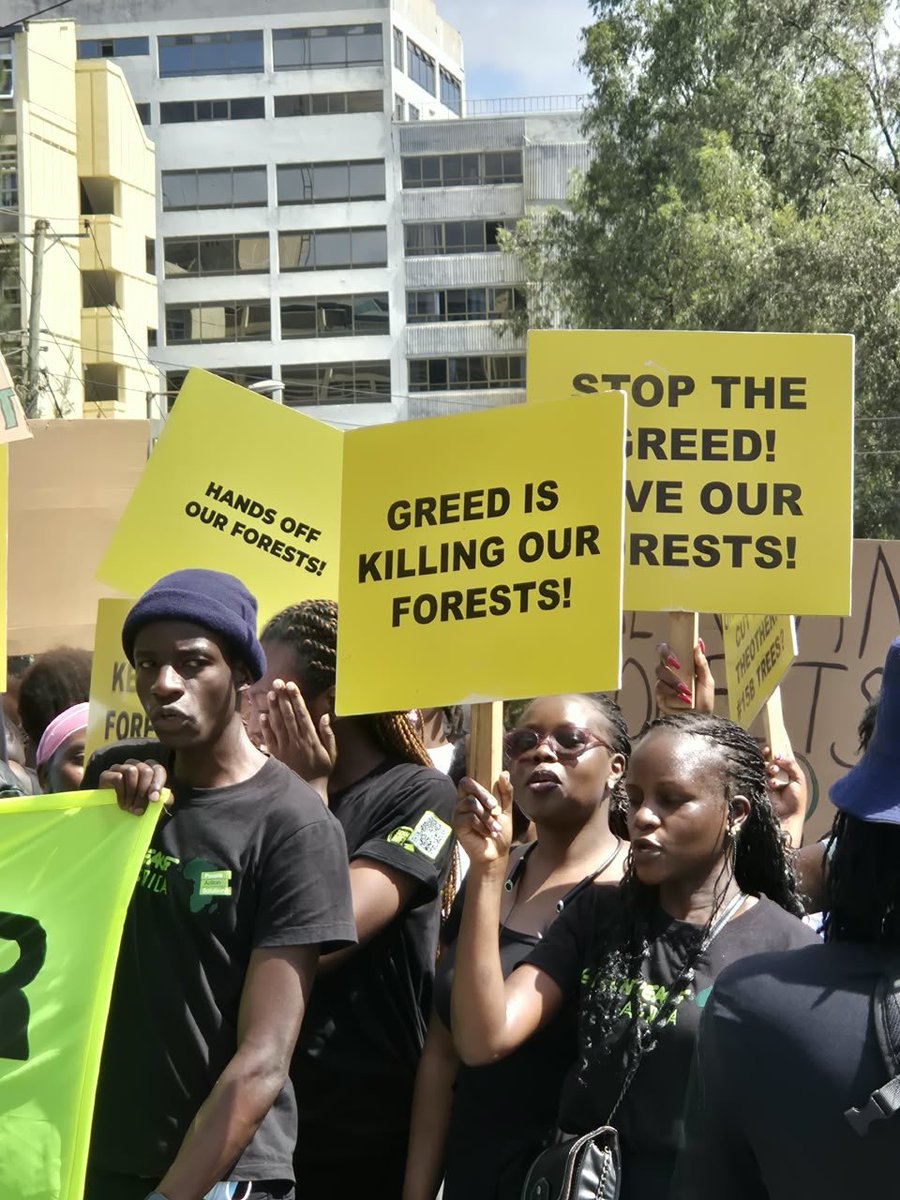 Stephenstephano's tweet photo. We cannot replace an ancient forest overnight. Once destroyed, ecosystems, biodiversity, and livelihoods may take generations to recover. Prevention must come first.
https://t.co/ltYhTN37zD
#HandsOffOurForests #ProtectKenyasForests
@DeboraBarasa https://t.co/G0HEA7vMVj