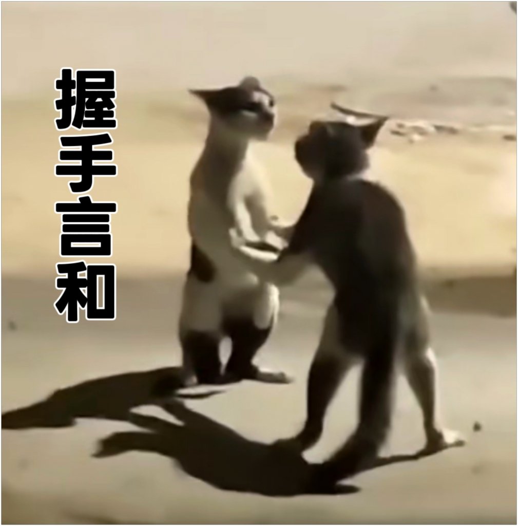 PISBO123's tweet photo. @A1P4CA 让我们好好相处吧 https://t.co/wVF7dKMz5o