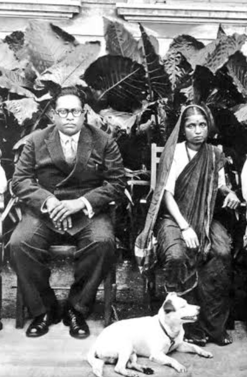 UnreservedMERIT's tweet photo. Hypocrisy around these claims of Ambedkar:- 

Claim 1  :- Untouchability was supported by Brahmins ->> Muslims denied Ambedkar from drinking water from Chavdar (Chowdar) Tank in Mahad not Brahmins. 

Claim 2 :- Child Marriage -->> Ambedkar married Ramabai when she was only 9 years old and he got her impregnated when she was just a 14 years old child. 

Claim 3 :- Widow burning ( Sati Pratha ) -->> Sati Pratha was never part of Hindu Culture but came into existence through Mughal era due to the heinous crimes they used to do with females .. still Sati Pratha was made illegal long ago in 1829 by William Bentick 62 years before Ambedkar was even born .
