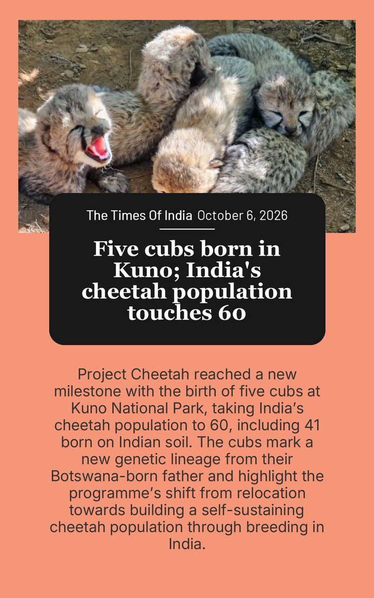PMOIndia's tweet photo. Five cubs born in Kuno; India's cheetah population touches 60

https://t.co/YCag7qDJZK

via NaMo App https://t.co/twMn4U6NcS