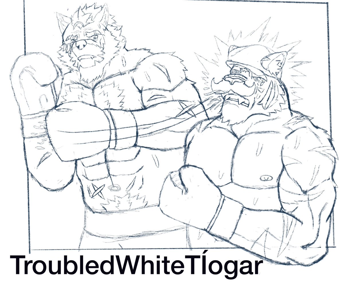 tiogar_white's tweet photo. Sketches #boxing #furryart #furryoc #furryartist #furryboxing https://t.co/0c5d8mNPhf