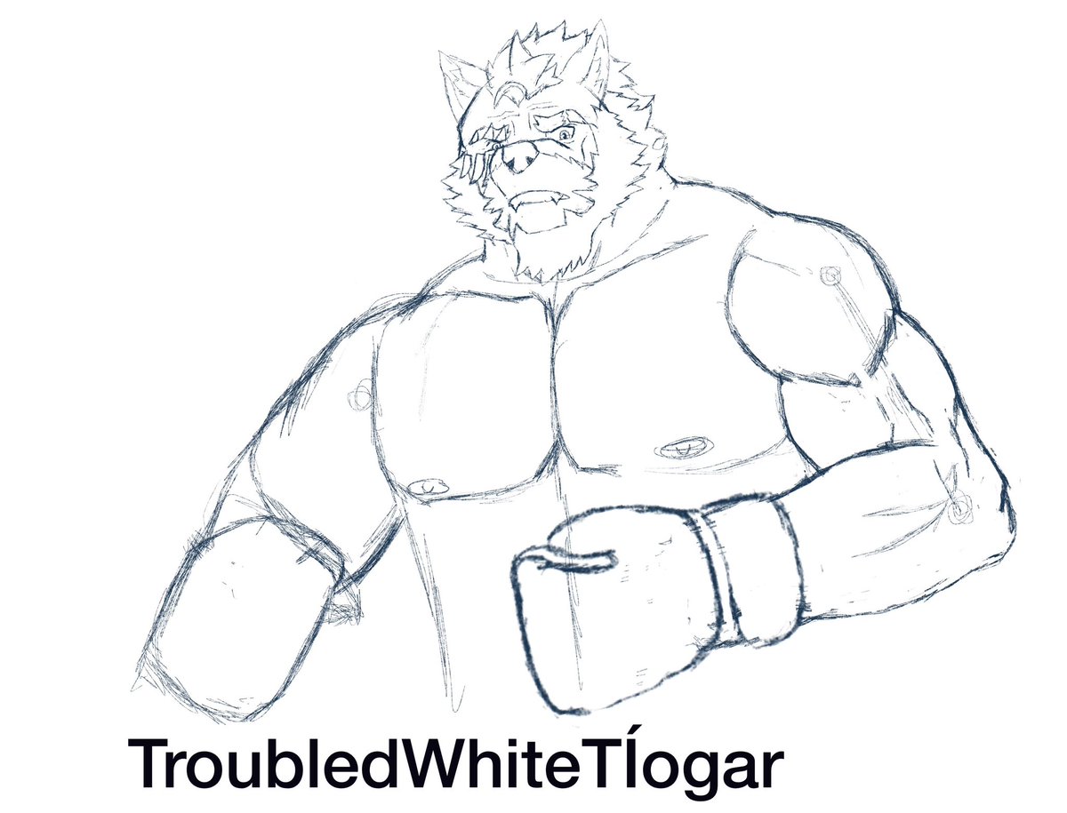 tiogar_white's tweet photo. Sketches #boxing #furryart #furryoc #furryartist #furryboxing https://t.co/0c5d8mNPhf
