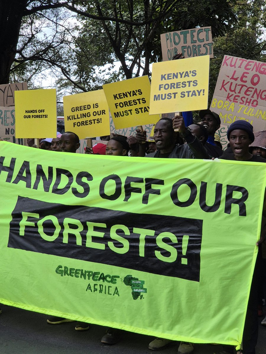 Stephenstephano's tweet photo. Protecting Kenya’s forests is an investment in clean water, climate resilience, biodiversity, food security, and the wellbeing of future generations. Help us to sign this 
https://t.co/ltYhTN37zD
 #HandsOffOurForests #ProtectKenyasForests https://t.co/oQGGEdXdxK