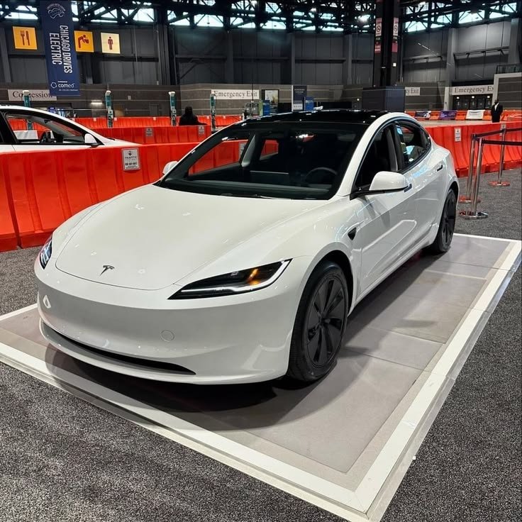 Elonmarksfcbxb tweet picture
