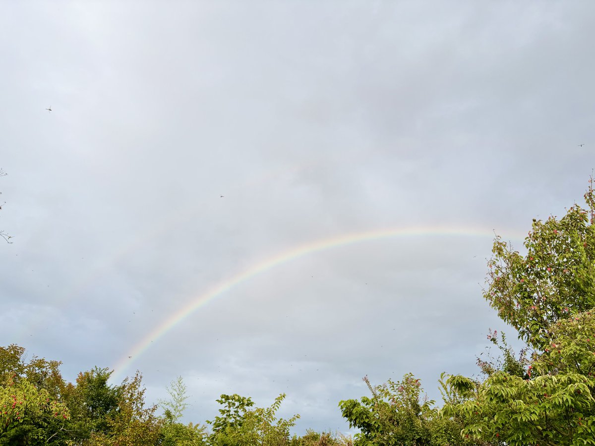 alantarn's tweet photo. 昨日見た虹〜🌈よく見たらトンボもめっちゃ飛んでる https://t.co/DjoDPlpTmO