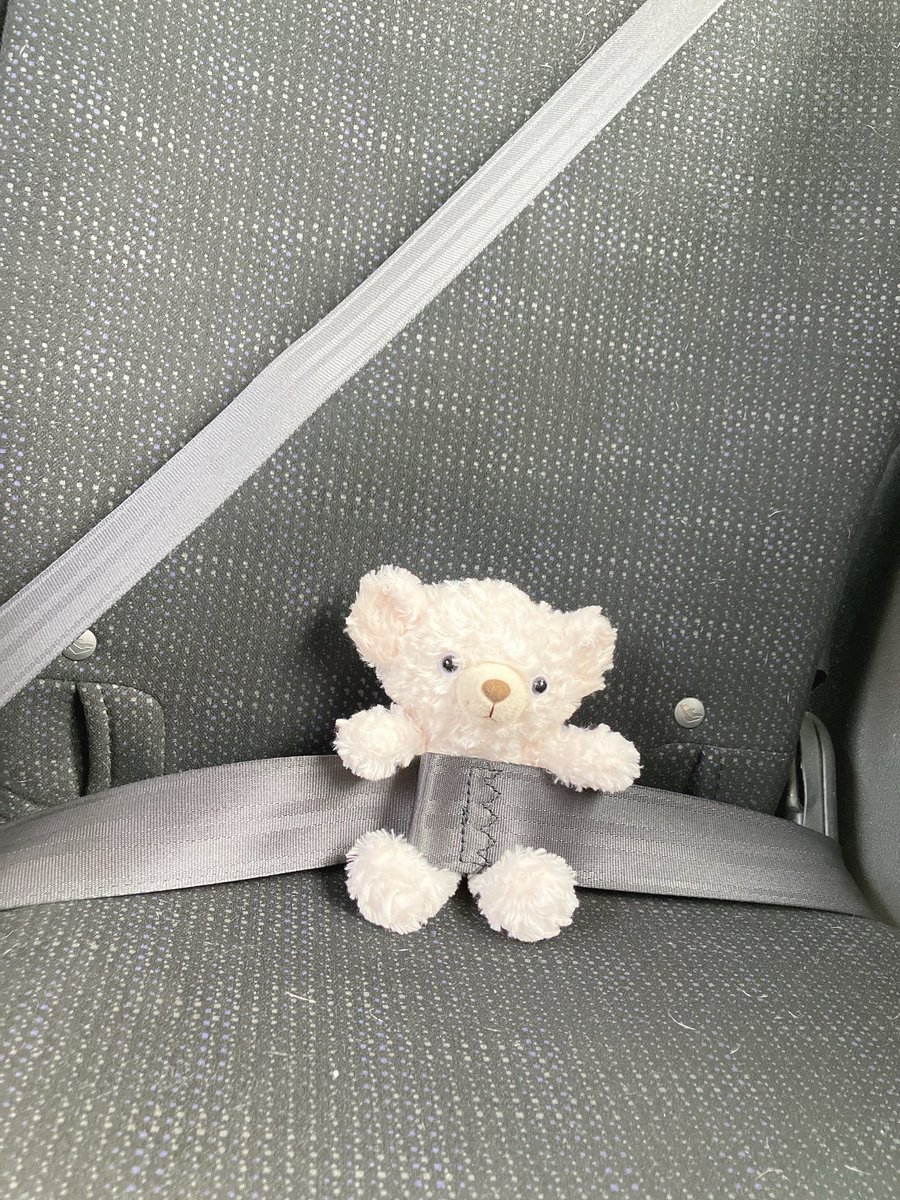 113Mercury's tweet photo. 昨日リサイクルショップで出会��た🐻‍❄️
ドライブごきげん るんるんだった
名前は、ぱよん だよ♪ https://t.co/2AdG9mdeBZ