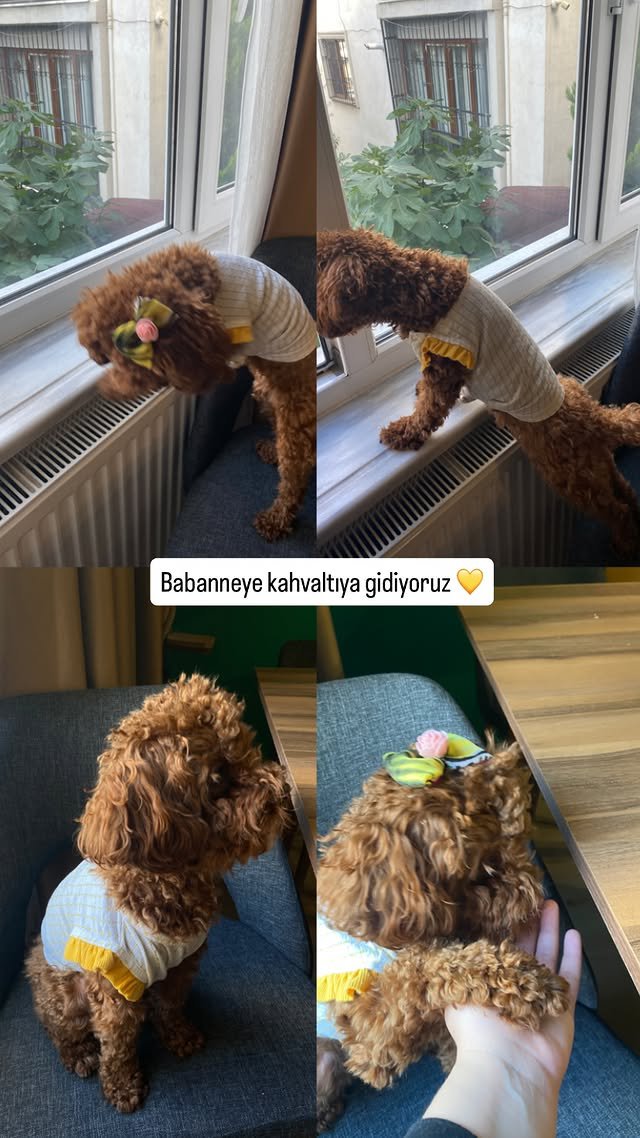 Melisayxpm's tweet photo. 🤣🤣❤️❤️ https://t.co/morUktrh8H