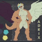 Photo by Adrix (@AdrixTheWolf)