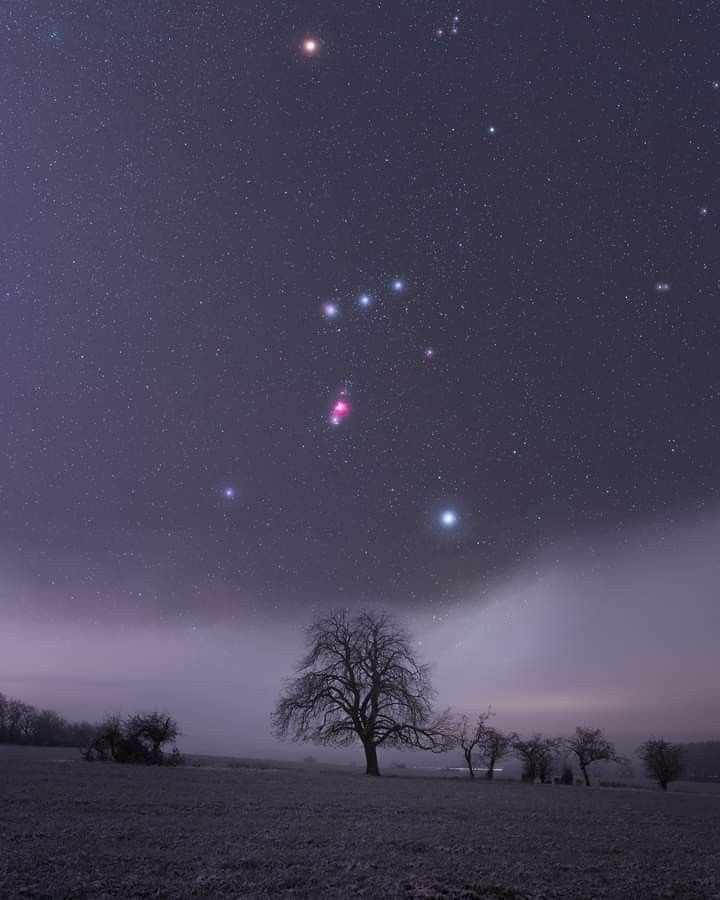 NightSkyToday's tweet photo. Orion✨ https://t.co/1hIz5nfAy6