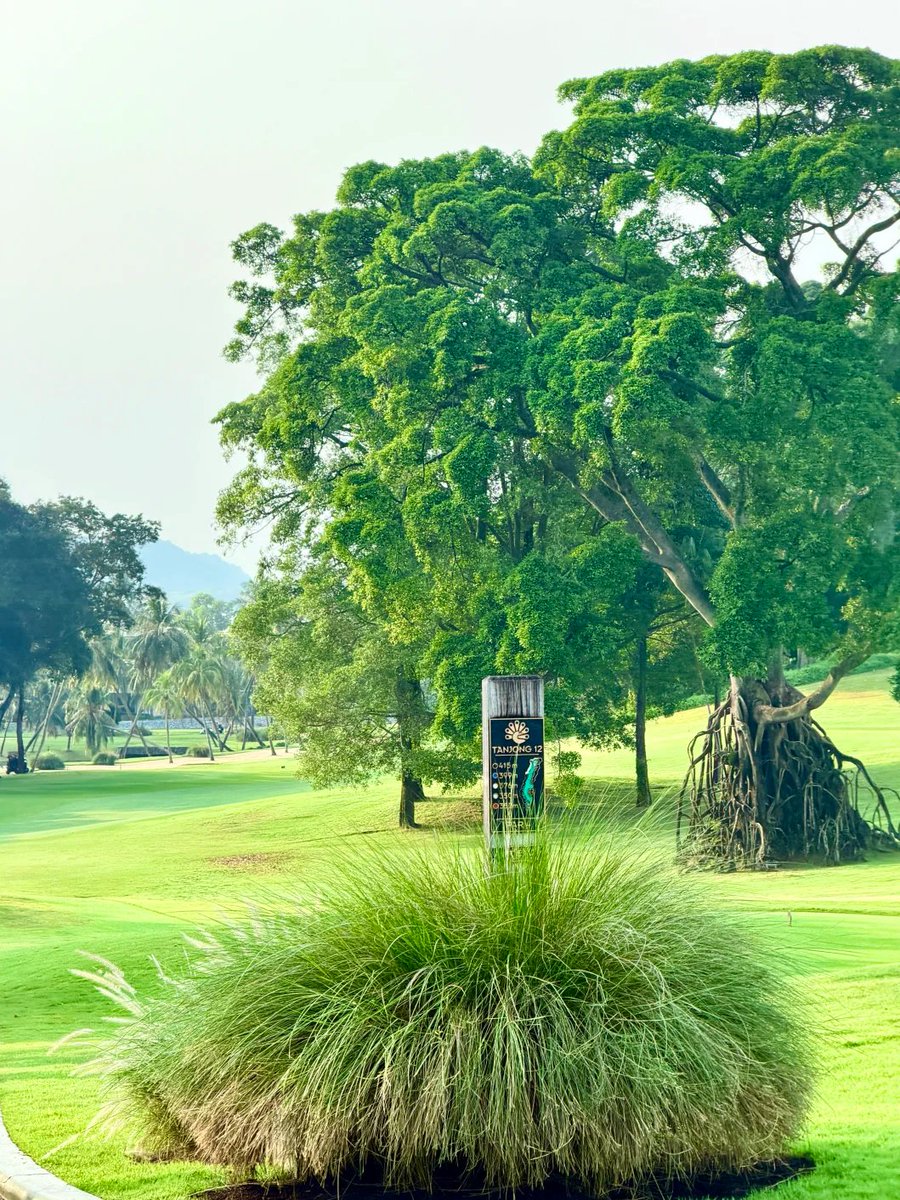 pappu_manish's tweet photo. I haven't played golf for a long time. https://t.co/wKphCgWaQm