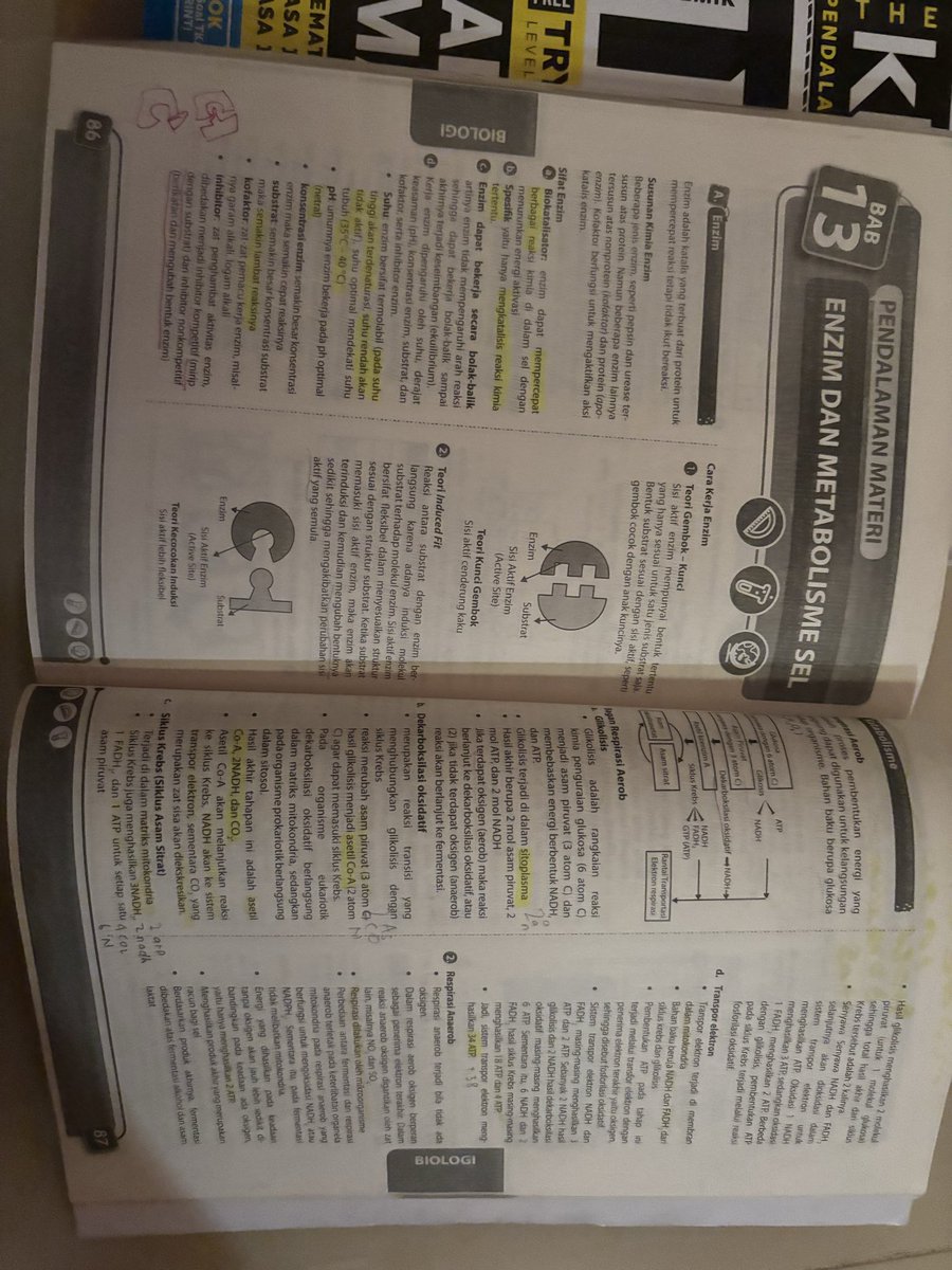 pororo_jay's tweet photo. khusus part biologi sudah diisi https://t.co/qW9FbFrcml