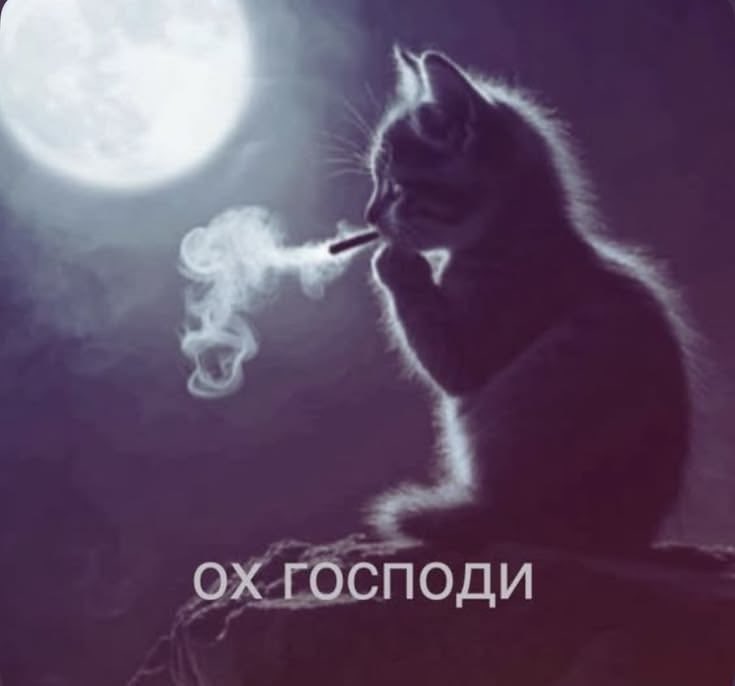 sunkillwq's tweet photo. https://t.co/rqPsTtv8ns