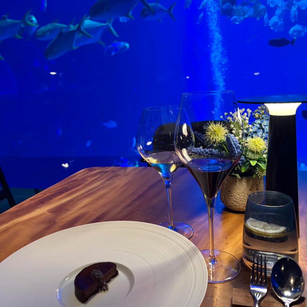riku_void_0's tweet photo. The ultimate romantic experience in Singapore 🌊this underwater dinner is absolutely breathtaking. https://t.co/Lz1LxDBXcg