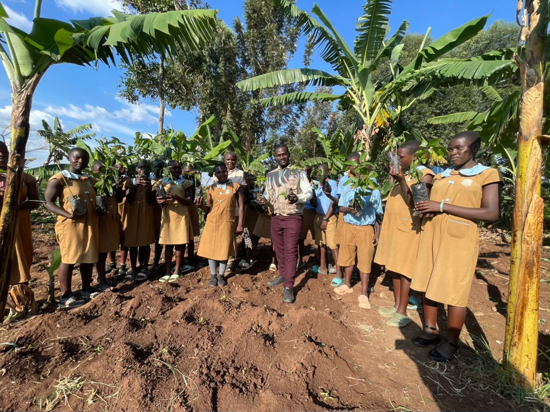 acfode's tweet photo. Following the recent activities at Bukere Primary and Secondary Schools, ACFODE extended the kitchen gardening initiative to Kabweza Primary School, where members of the GBV Prevention Club took part in planting kitchen gardens and fruit trees.

Beyond learning about GBV prevention, the learners are gaining practical skills they can use at home to support food production and household well-being.

It is encouraging to see GBV Prevention Clubs becoming spaces where young people gain knowledge and skills that benefit them at school and at home.

#ACFODE #GBVPrevention #KitchenGardening #YouthEmpowerment #FoodSecurity #GenderEquality