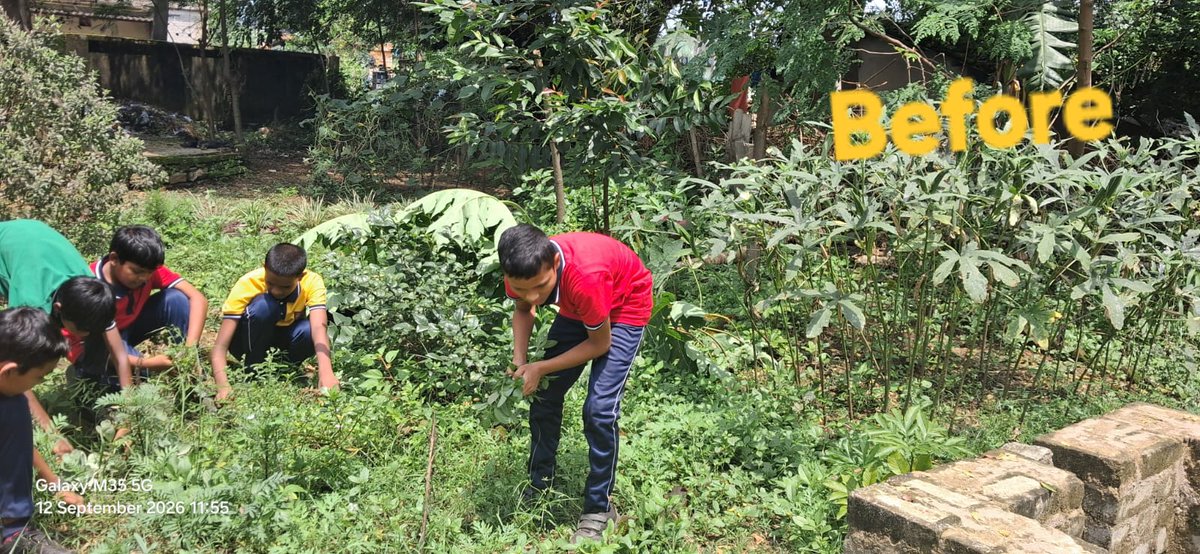 kvkutra's tweet photo. ✨ Special Campaign 6.0 ✨

A step towards cleanliness, efficiency and better workspaces. Together, let us promote cleanliness, dispose of waste responsibly, and create a more organized and positive environment. 🇮🇳
#SpecialCampaign6 #SwachhBharat #CleanIndia #KVS #SwachhVidyalaya https://t.co/5HNe0PUkGi