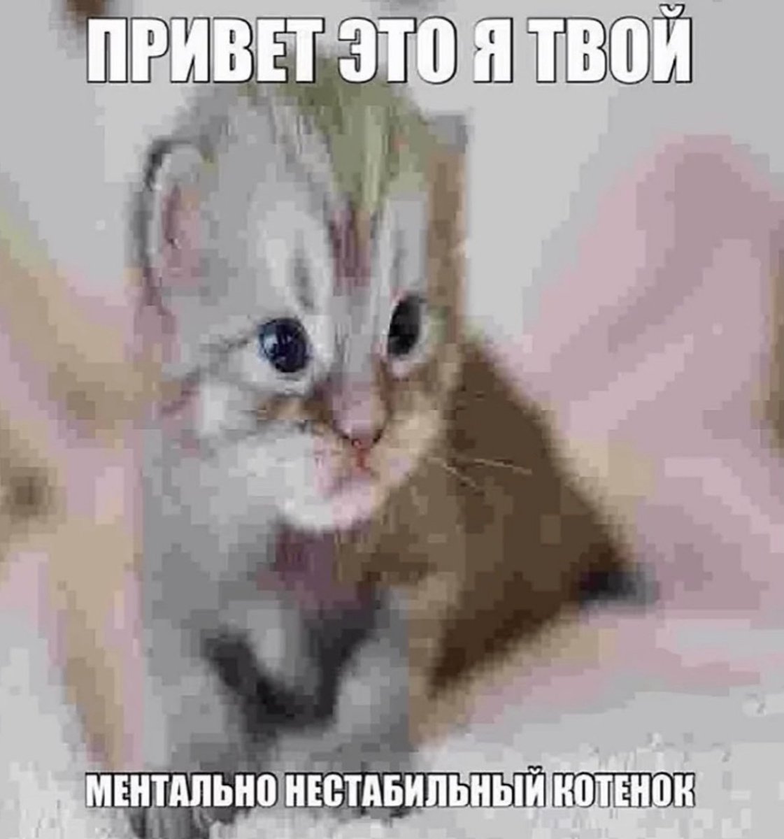 assunasun's tweet photo. настроение сегодня вот такое + никто меня не любит ю ноу + по радио на работе играют такие песни типа позитив но от них хочется чисто ровным шагом и в окно 👍💯 https://t.co/2UkA2ypjX9