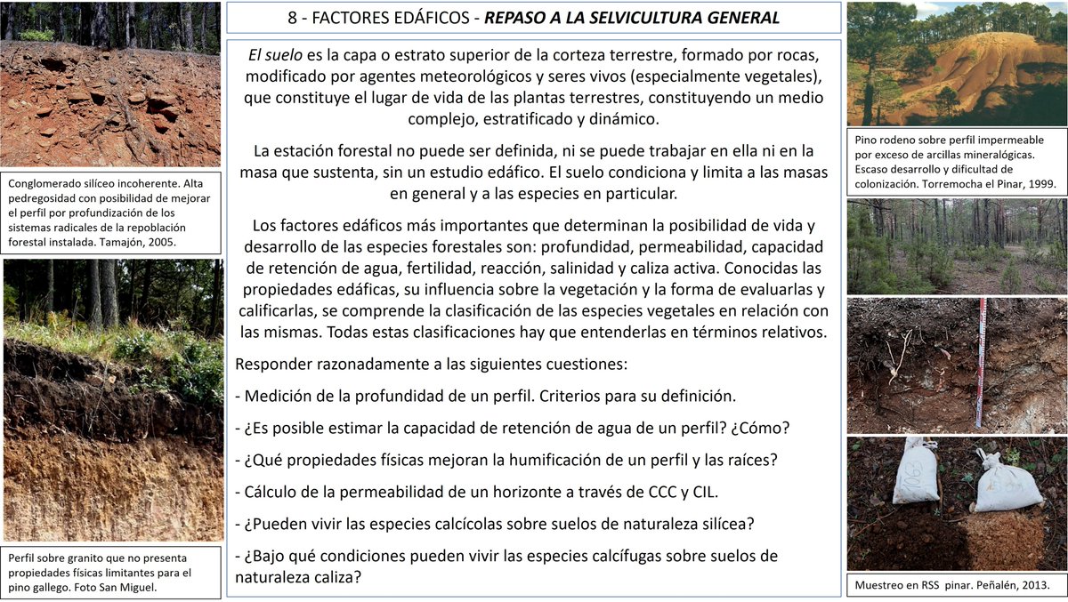 RafaelSerrada1's tweet photo. Estudiar el suelo y saber como influye en vegetación es imprescindible. #elMonteEnseña ha avisado: https://t.co/cKqAfho7tT y https://t.co/Npcg1Dpy6V. Método en Cap4 de: https://t.co/eM94tre4hs. En la ficha preguntas, aquí más: https://t.co/9iEGiOqXI7 y  https://t.co/WdMHMRbWQE. https://t.co/bhZitDqcaV