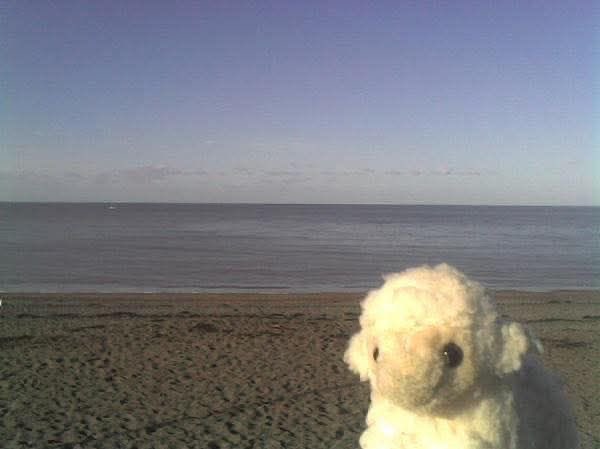 saintemorttt's tweet photo. the world has ended for me many times and began again in the morning https://t.co/6o2Tv0KChD