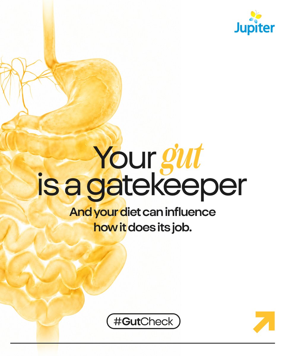 JupiterLifeline's tweet photo. Your gut has a barrier that helps decide what gets through and what stays out.

And your diet can play a role in maintaining it. Swipe through to understand the connection. 

#GutHealth #GutBarrier #IntestinalHealth #CrohnsDisease #GutCheck #JupiterHospitals https://t.co/9zdSCeb6QD