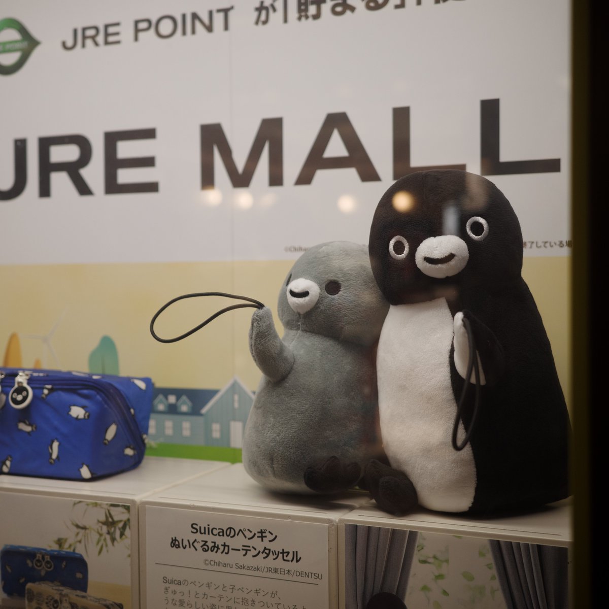 suisuipengu1n's tweet photo. 東京近郊でふいに目が合ってしまうカーテンタッセルペンギンズ🐧
#Suicaのペンギン
#PenguinYearsごいっしょに https://t.co/eqJw6MCtls