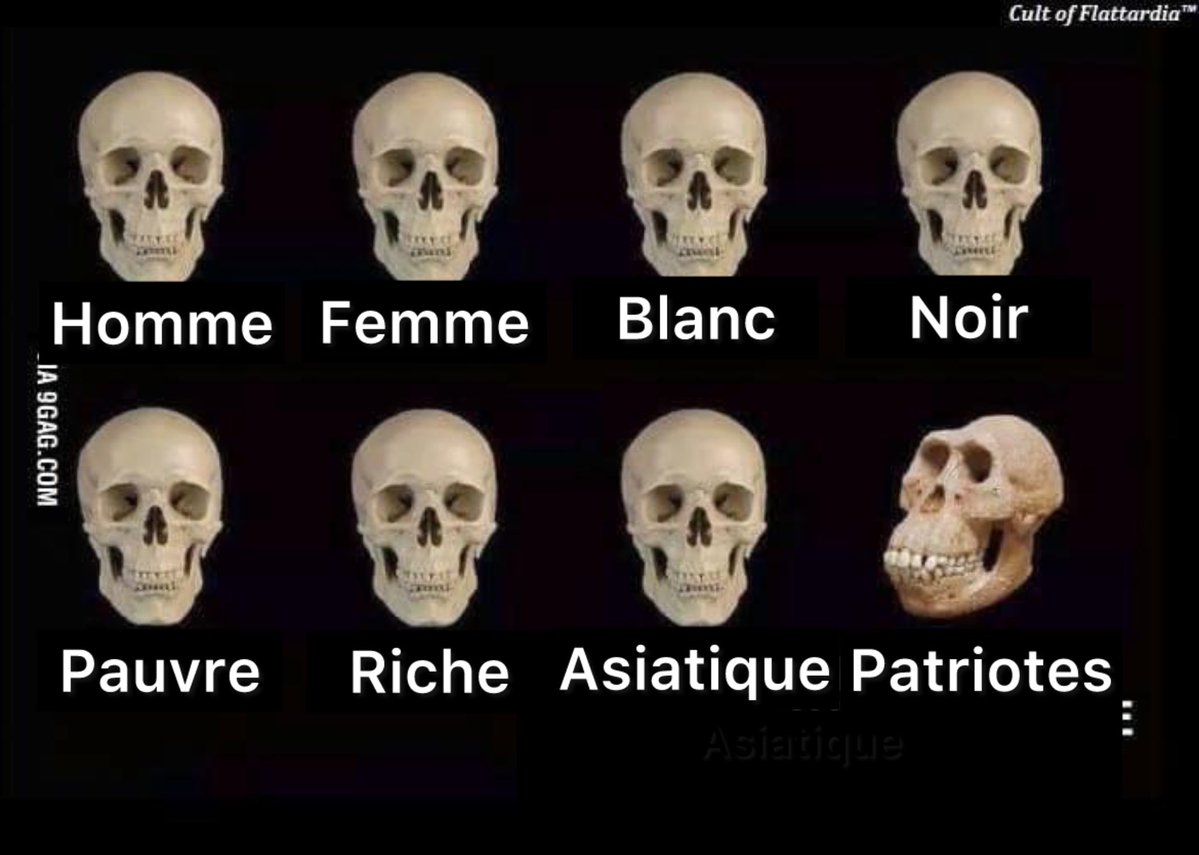 f_Phillipov's tweet photo. @Vincenzosicile @AL90630 @SolerJulie31013 @passouverain @f_philippot Toi le facho à 2 neurones, intellectuellement incapable de se défendre, tu bloques systématiquement tes détracteurs. Ne sois pas frustré d’être le con derrière un mec qui fait que 1%. Si tu n’avais pas été un cancre à l’école t’en serais pas là à gober des populistes. https://t.co/IXAazB6U5X