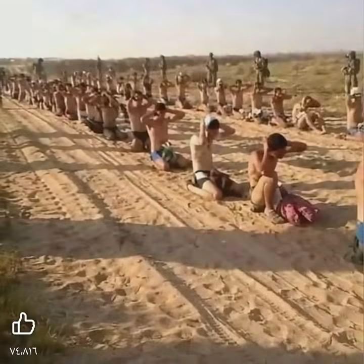 Ajmal_804's tweet photo. فلسطینغ زہ کا درد کوئی نہیں سمجھ سکتا 🇵🇸 https://t.co/wQJCU4kncg