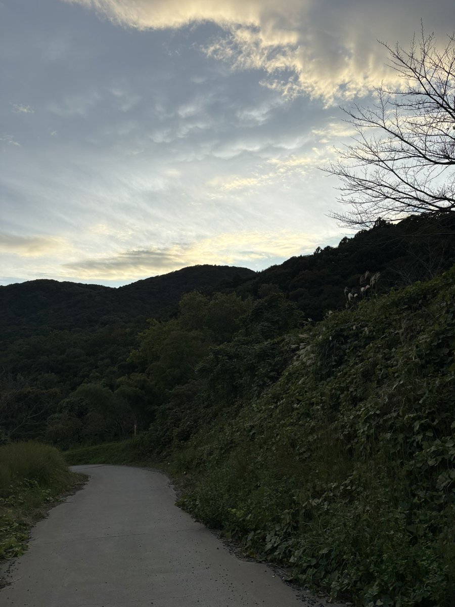 Le_S_Ca31's tweet photo. アーム強化合宿をしに山篭りへ https://t.co/vNIldSPKYw