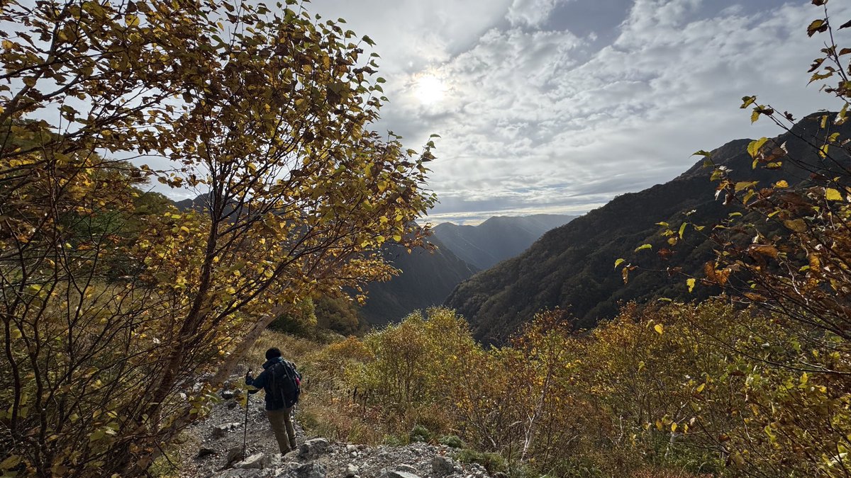 fc73s21's tweet photo. たまらない週末でした🏔️
おかわり行きたい…🍁 https://t.co/bwdz4YhtnJ