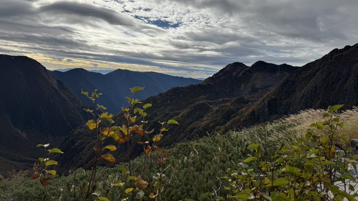 fc73s21's tweet photo. たまらない週末でした🏔️
おかわり行きたい…🍁 https://t.co/bwdz4YhtnJ