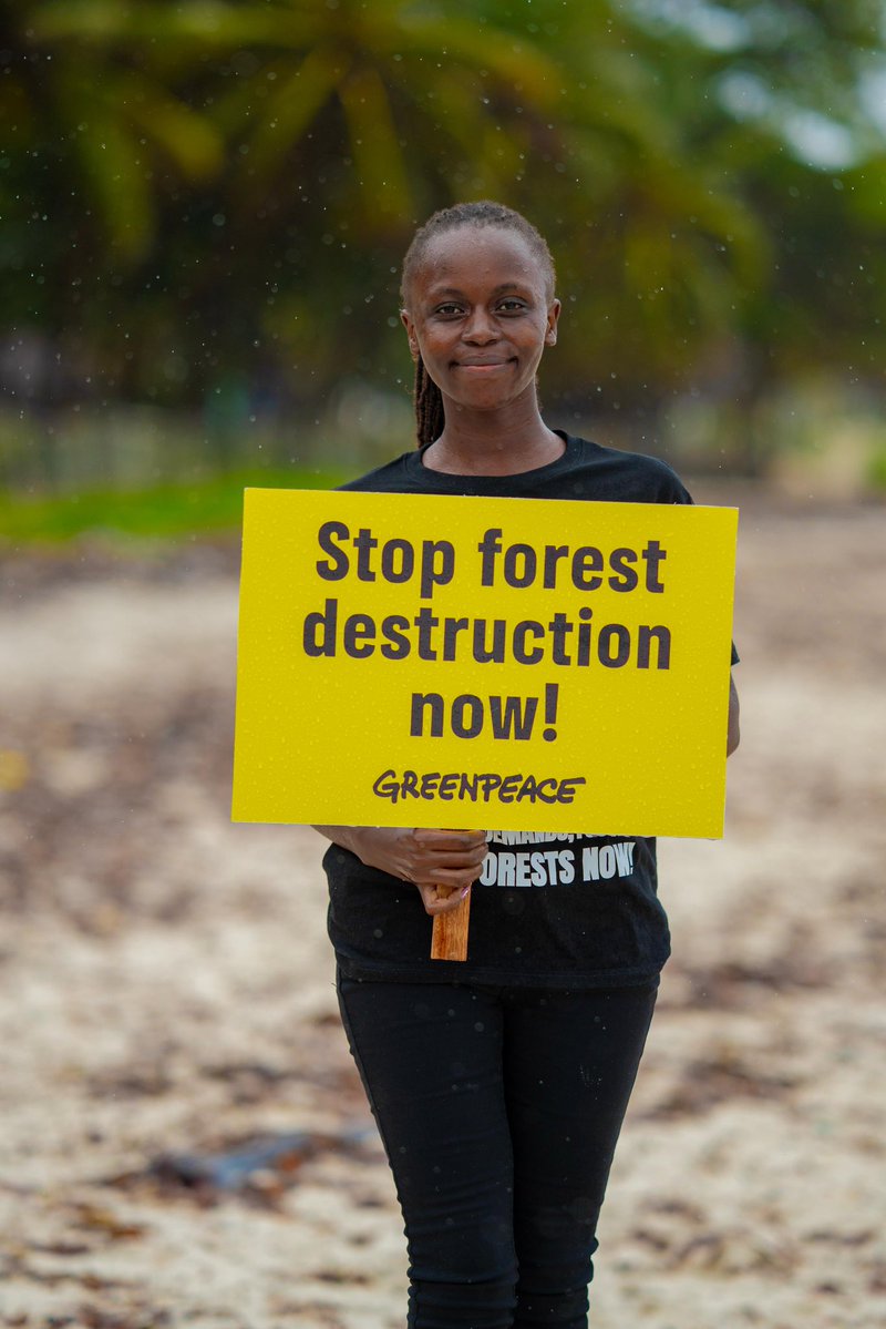 mukamiwanderi's tweet photo. From the air and on the ground, the call to safeguard our natural heritage is unified. Stand with us to defend Kenya's forests from encroachment.💪🏽
Sign the petition link now 👉🏾 https://t.co/HluBCCeyfo
#HandsOffOurForests #ProtectKenyasForests https://t.co/eeIeXcFFeQ