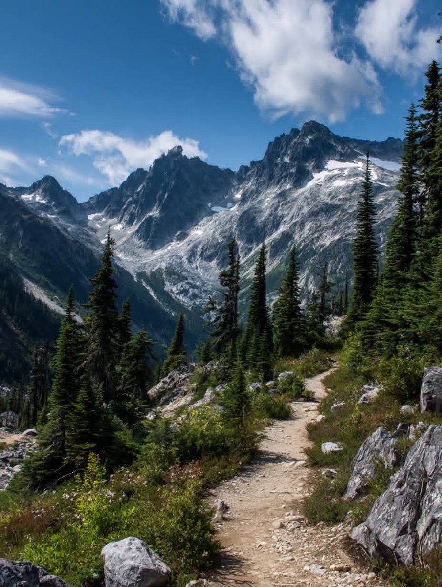 worldclick56's tweet photo. Wandering the trails of the Cascades.🍃 https://t.co/O9mSOibmLH