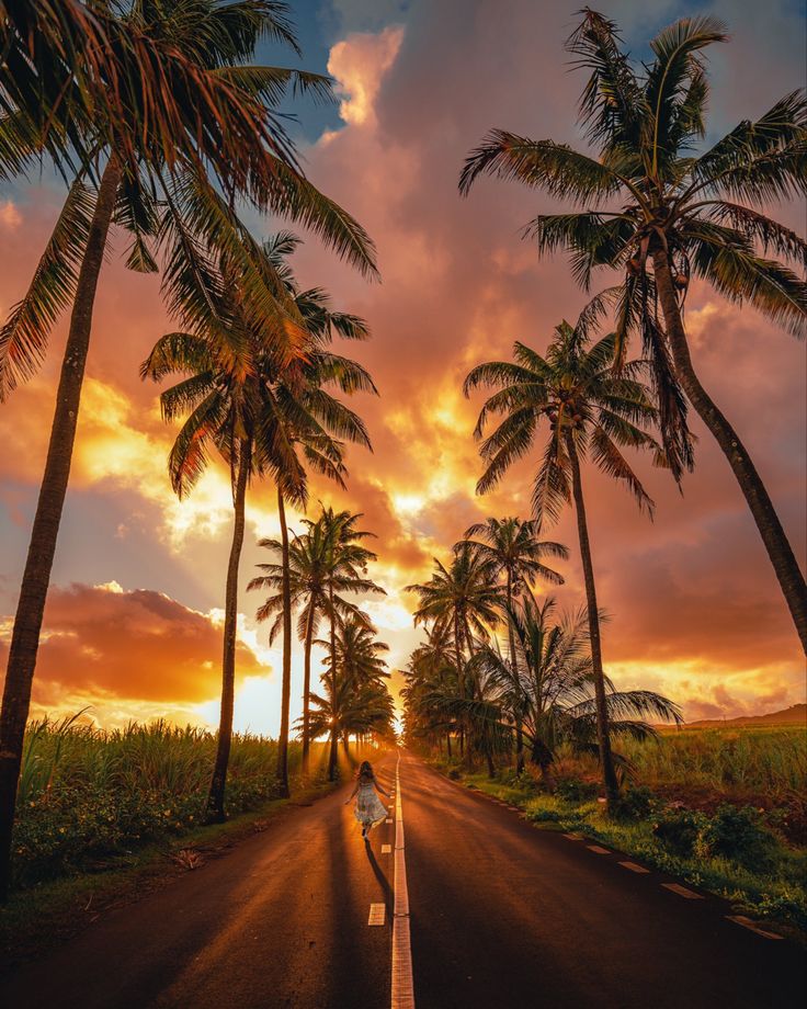 MauritiusGuide's tweet photo. Golden hour in Mauritius 😍 https://t.co/jev5Y0bpUw