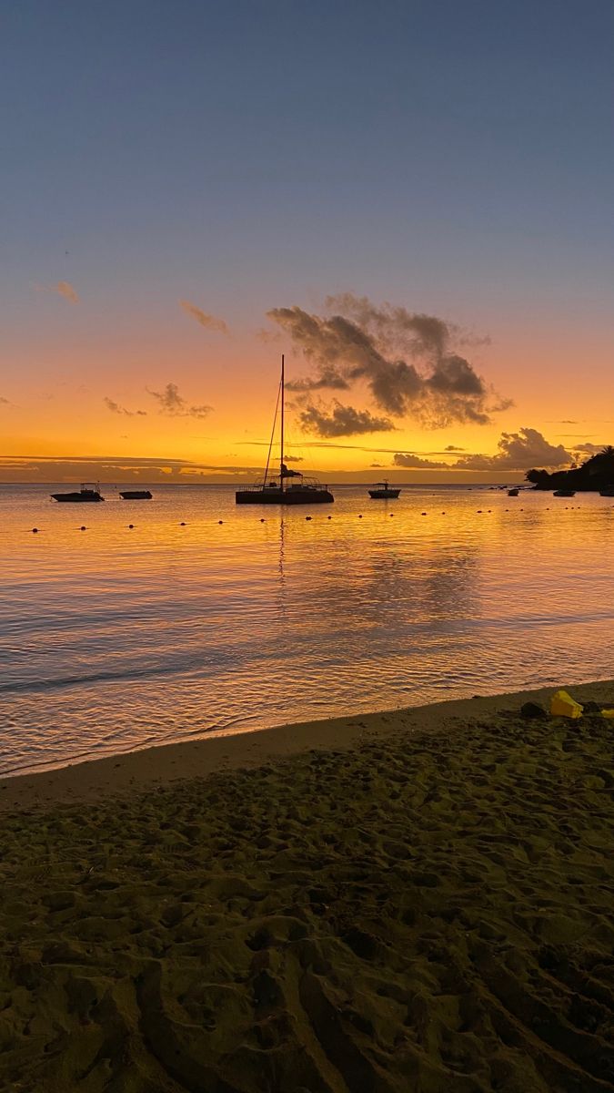 MauritiusGuide's tweet photo. Golden hour in Mauritius 😍 https://t.co/jev5Y0bpUw