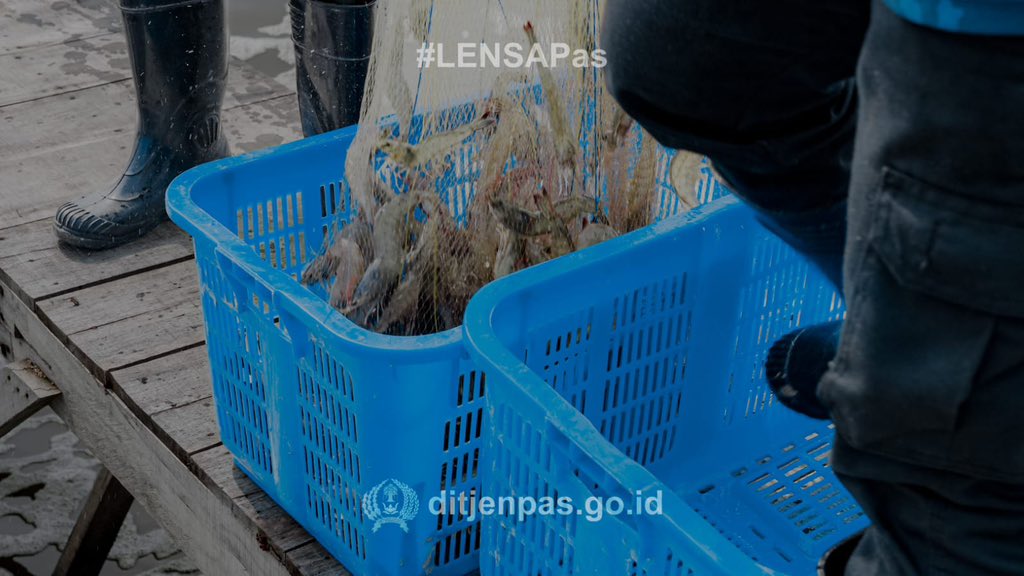 DITJEN_PAS's tweet photo. Menebar jaring, menumbuhkan keterampilan, membangun kemandirian.

#KitaMulaiCaraBaru
#GuardAndGuide
#Kemenimipas
#Ditjenpas
#Pemasyarakatan https://t.co/4ILRhlTE1l