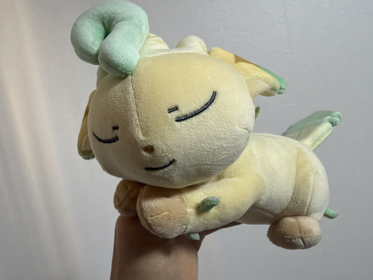coffee_Leafeon's tweet photo. ポケセンの店員さん｢リーフィアを連れて帰る袋はお付けしますか？｣｢リーフィアを可愛がってあげてくださいね｣
ポケぬいを1匹の生き物として扱ってるのめっちゃポケモン愛感じて神すぎた😭 https://t.co/ETGTintYz7
