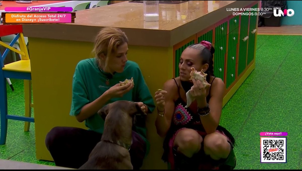 bbtickz's tweet photo. Ivonne todavía preguntando quién los había agarrado jajajaj #LaGranja #GranjaVIP https://t.co/uGwJMCe3JB