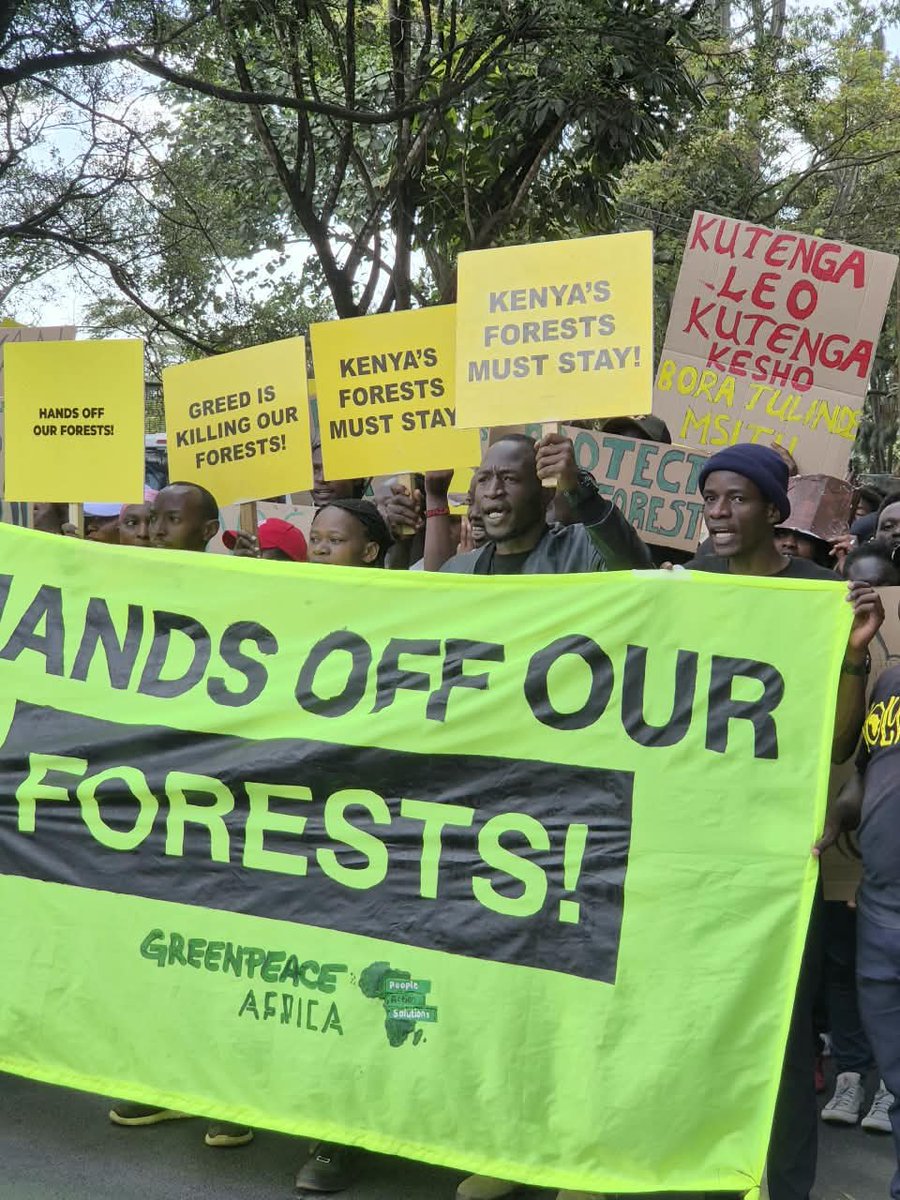 Stephenstephano's tweet photo. Protecting forests is protecting our water, climate, wildlife, and communities. Development must be sustainable.https://t.co/ltYhTN37zD
#HandsOffOurForests #ProtectKenyasForests https://t.co/5veJ5qicut