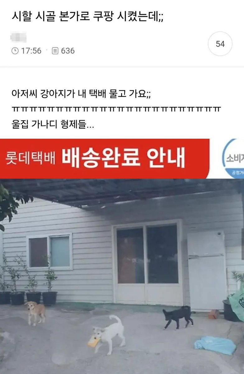 gaeuggyeo's tweet photo. 시골 본가로 쿠팡 시켰는데 https://t.co/nox8mHldrs