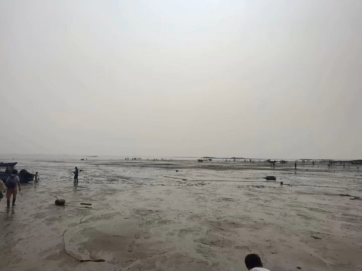 RouteGullyrhm7's tweet photo. "The surging wave of certainty wraps around the quiet coral, as the eunuch’s hoarse shout pierces the air, dragging the slender river eel into the dim dusk. "， https://t.co/1KCwwMB7kE