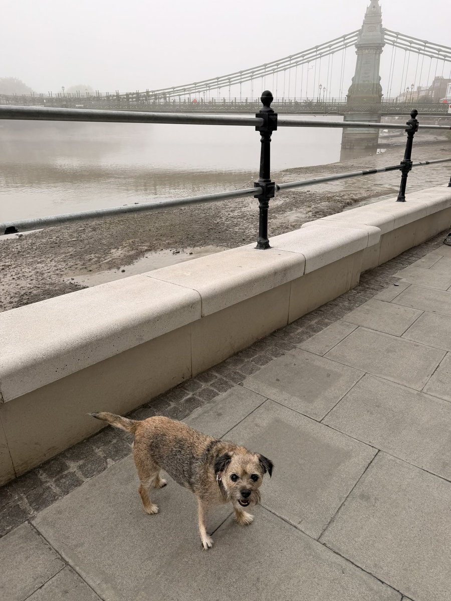 Barnetta_BT's tweet photo. Misty morning 🙂

💕💓💓💗🩷💓💖💗 https://t.co/Yx3C68b6Rq