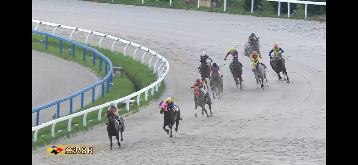 MmeCherokee09's tweet photo. ニャンタロウやったね！
スタートから人気馬２頭のマッチレースを制しての勝利！
おめでとう！！！ https://t.co/bZODjYG0Aq