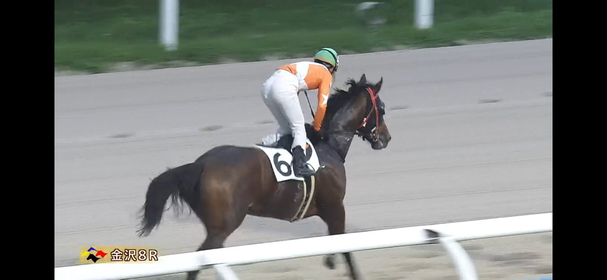 MmeCherokee09's tweet photo. ニャンタロウやったね！
スタートから人気馬２頭のマッチレースを制しての勝利！
おめでとう！！！ https://t.co/bZODjYG0Aq