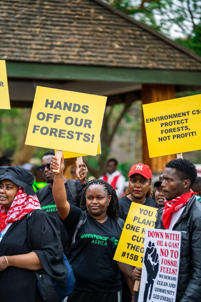 gmarshar's tweet photo. The Mau Complex isn't just any forest. It's one of Kenya's 5 water towers, sustaining rivers, livelihoods and ecosystem across Rift Valley, Western and Nyanza regions. Allowing logging threatens millions who depend on it
Sign 👉🏾
#HandsOffOurForests
#ProtectKenyasForests https://t.co/BKjJESCtXr