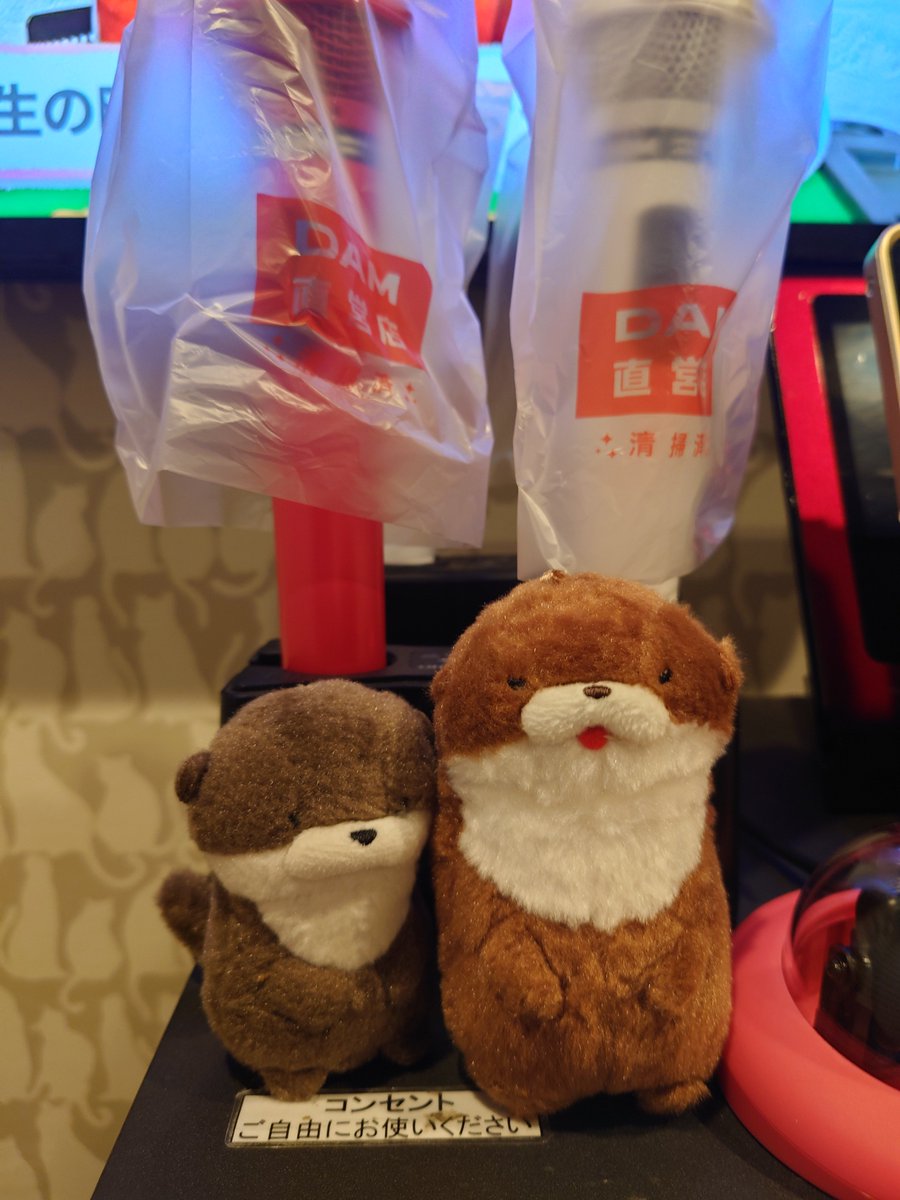 XYZ__48's tweet photo. #カワウソうそやん
#ぬい撮り
#ぬい活
#バタちゃんず
今日は棚作成のためにお出かけしましたが、何も成果得られず……。
喉乾いたから飲み物買って
ヒトカラきました！🎤
お供は末っ子とおっさん？笑
ʕ๑•ω•๑ʔ
ワシにも飲ませてくれーー🍌🍊🍋 https://t.co/JYxAa6Gk9I