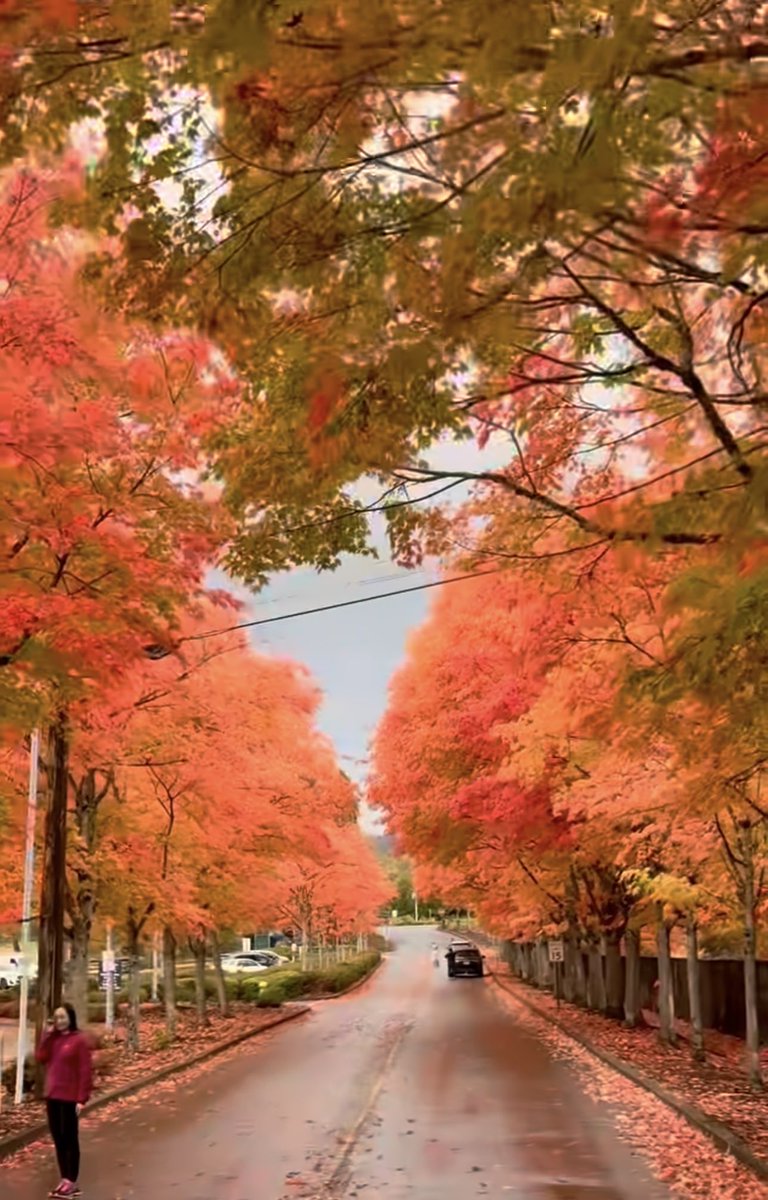 atapasha7's tweet photo. 🍂🍁beautiful🍁October🍁🍂 https://t.co/R6LhJ6kh7Z