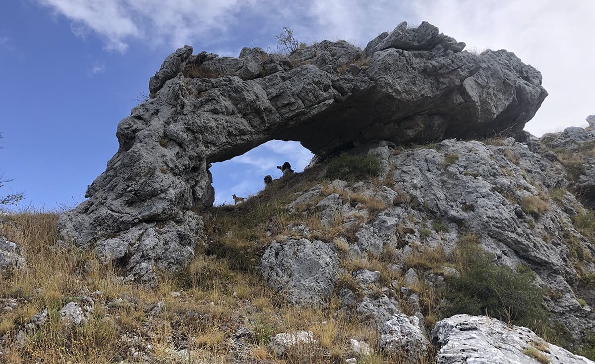 sentieripollino's tweet photo. Nel comune di Saracena (CS), vicino ai Piani di Masistro, si trova una meraviglia geologica nascosta: l’Arco di Pietra di Timpone Vaccaro. Una rarissima scultura naturale in roccia calcarea modellata dal tempo nel Parco del #Pollino.
Info  https://t.co/QoMLun7gNE https://t.co/N3MMs6qFd2