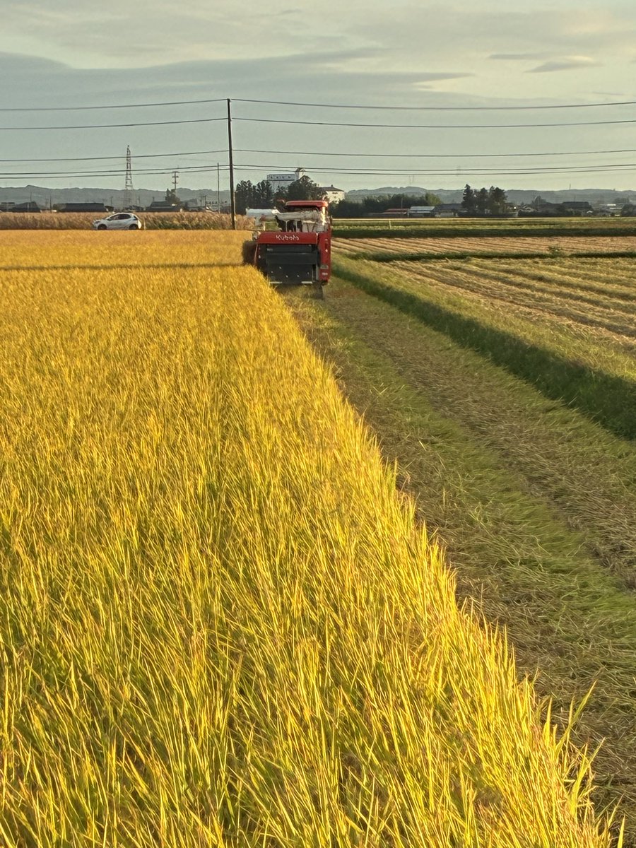 orangezenmai's tweet photo. 本日も https://t.co/KfwN6flkwO